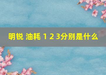 明锐 油耗 1 2 3分别是什么